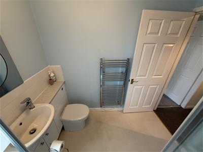 Picture 17